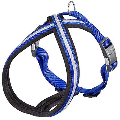 Ferplast Hundegeschirr Daytona Cross, mittelgroßes/großes Hundegeschirr aus Nylon, Hundegeschirr mit weicher Polsterung, Reflektierend und Verstellbar. Mit Magnetschnalle. Blau Ferplast Hundegeschirr Daytona Cross, mittelgroßes/großes Hundegeschirr aus Nylon, Hundegeschirr mit weicher Polsterung, Reflektierend und Verstellbar. Mit Magnetschnalle. Blau