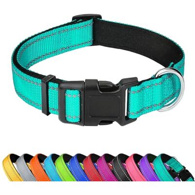 LZGOPE Reflective Dog Collar, Adjustable Soft Neoprene Padded Nylon Pet Collars with Buckle for Medium Dogs, Cyan,M LZGOPE Reflective Dog Collar, Adjustable Soft Neoprene Padded Nylon Pet Collars with Buckle for Medium Dogs, Cyan,M