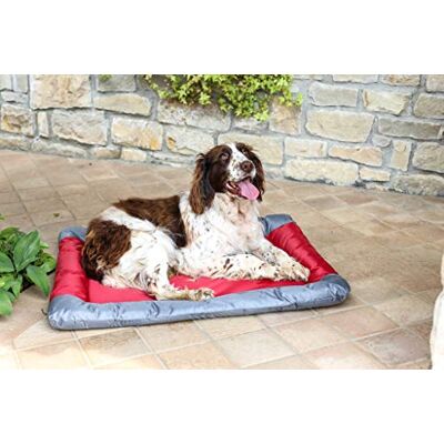 Sogni e Capricci Haustierdecke - Wasserdicht für Hunde und Katzen - Rot - 71x57 cm Sogni e Capricci Haustierdecke - Wasserdicht für Hunde und Katzen - Rot - 71x57 cm