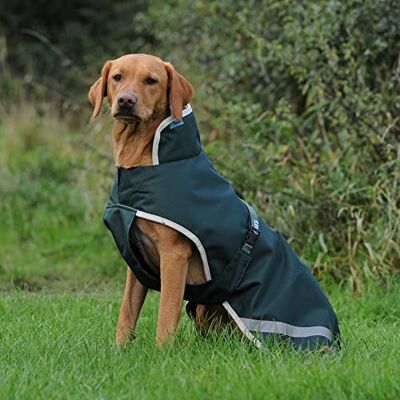 Bucas Greenline Dog Rug Green/Creme 40cm Bucas Greenline Dog Rug Green/Creme 40cm