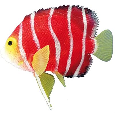 Nobby Fantasy Decor "SKALAR" L11 x H9 cm Nobby Fantasy Decor "SKALAR" L11 x H9 cm