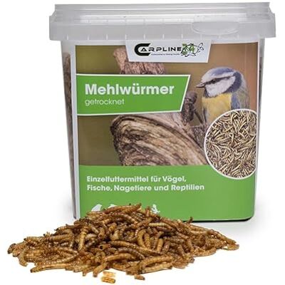 Carpline24 Mehlwürmer, 1000 ml, proteinreich, Vogelfutter, Igel & Fische getrocknet, proteinreiche Insekten als Futter, Winterfutter, Reptilien, Nager Carpline24 Mehlwürmer, 1000 ml, proteinreich, Vogelfutter, Igel & Fische getrocknet, proteinreiche Insekten als Futter, Winterfutter, Reptilien, Nager