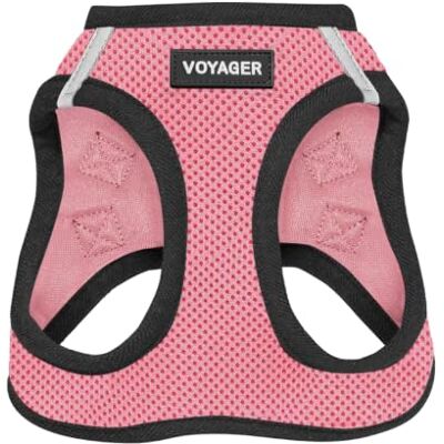 Best Pet Supplies Voyager Step-in Air Hundegeschirr – Allwetter-Netzgewebe für kleine und mittelgroße Hunde von – Geschirr (rosa/schwarzer Rand), Größe XXS Best Pet Supplies Voyager Step-in Air Hundegeschirr – Allwetter-Netzgewebe für kleine und mittelgroße Hunde von – Geschirr (rosa/schwarzer Rand), Größe XXS