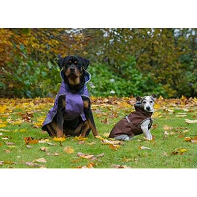 Bucas Freedom Dog Rug 30cm Brown Bucas Freedom Dog Rug 30cm Brown