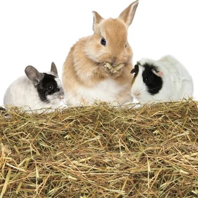 Nobleza (2.5kg Kaninchen Wiesenhe, Hauptfutter für Hasen mit Gemüse, Natürliches Nagerfutterlebenswichtigen, Futter für Meerschweinchen, Vitaminen und Mineralien Nobleza (2.5kg Kaninchen Wiesenhe, Hauptfutter für Hasen mit Gemüse, Natürliches Nagerfutterlebenswichtigen, Futter für Meerschweinchen, Vitaminen und Mineralien