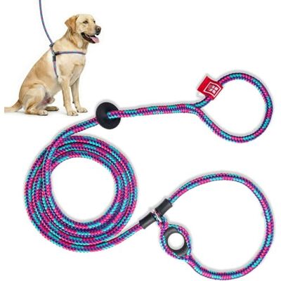 Harness Lead Hundegeschirr und Leine, Anti-Zieh-Hundegeschirr, einteiliges gepolstertes Seil, verhindert sicher das Entweichen und Ziehen, der Neue Einsatz ist herausnehmbar (Größe M/L, Reef) Harness Lead Hundegeschirr und Leine, Anti-Zieh-Hundegeschirr, einteiliges gepolstertes Seil, verhindert sicher das Entweichen und Ziehen, der Neue Einsatz ist herausnehmbar (Größe M/L, Reef)
