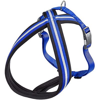Ferplast Hundegeschirr Daytona Cross, großes Hundegeschirr aus Nylon, Hundegeschirr mit weicher Polsterung, Reflektierend und Verstellbar. Mit Magnetschnalle. Blau Ferplast Hundegeschirr Daytona Cross, großes Hundegeschirr aus Nylon, Hundegeschirr mit weicher Polsterung, Reflektierend und Verstellbar. Mit Magnetschnalle. Blau