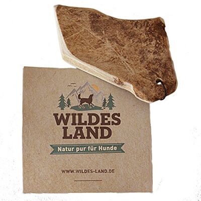 WILDES LAND – Hirschgeweih Schaufel Größe M Natürlicher Kauartikel aus abgeworfenem Hirschgeweih für ausgewachsene Hunde. Reines Naturprodukt ohne Zusätze und Konservierungsstoffe für WILDES LAND – Hirschgeweih Schaufel Größe M Natürlicher Kauartikel aus abgeworfenem Hirschgeweih für ausgewachsene Hunde. Reines Naturprodukt ohne Zusätze und Konservierungsstoffe für