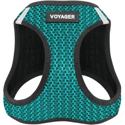Best Pet Supplies Allwetter-Hundegeschirr, Mesh, reflektierend, kein Ziehen, für kleine mittelgroße Hunde, Katzen, mit Klettverschluss, Schnalle, Doppel-D-Ringe, Türkis, 2-farbig, XS Best Pet Supplies Allwetter-Hundegeschirr, Mesh, reflektierend, kein Ziehen, für kleine mittelgroße Hunde, Katzen, mit Klettverschluss, Schnalle, Doppel-D-Ringe, Türkis, 2-farbig, XS