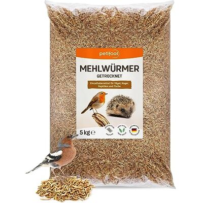 petifool Mehlwürmer getrocknet 5kg – Insektensnack für Vögel, Nager, Fische, Schildkröten und Reptilien – hochwertiges Naturprodukt – proteinreicher Snack für Wildvögel petifool Mehlwürmer getrocknet 5kg – Insektensnack für Vögel, Nager, Fische, Schildkröten und Reptilien – hochwertiges Naturprodukt – proteinreicher Snack für Wildvögel