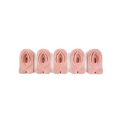 3B Scientific Ersatz‑Set Einsätze, Dammschnitttrainer P95 – 5 Silikon‑Einsätze 3B Scientific Ersatz‑Set Einsätze, Dammschnitttrainer P95 – 5 Silikon‑Einsätze