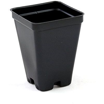 Grower's Solution Tiptop Home Growers Solution Blumentöpfe, Pflanzentöpfe, Pflanztöpfe, quadratisch, 6,4 cm, Schwarz, Kunststoff, tief, 25 Stück Grower's Solution Tiptop Home Growers Solution Blumentöpfe, Pflanzentöpfe, Pflanztöpfe, quadratisch, 6,4 cm, Schwarz, Kunststoff, tief, 25 Stück
