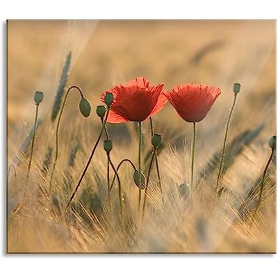 Pixxprint Zwei schöne Mohnblumen Herdabdeckplatte & Spritzschutz aus Echtglas Für Herd-Kochfelder 60x52 cm Pixxprint Zwei schöne Mohnblumen Herdabdeckplatte & Spritzschutz aus Echtglas Für Herd-Kochfelder 60x52 cm