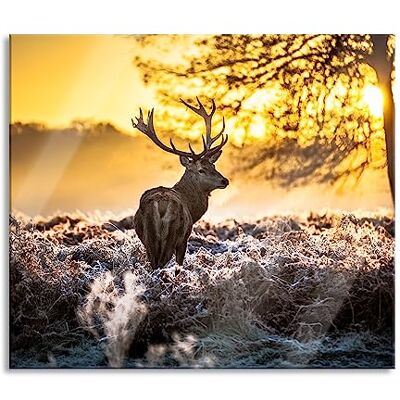 Pixxprint Hirsch im Wald Herdabdeckplatte & Spritzschutz aus Echtglas Für Herd-Kochfelder 60x52 cm Pixxprint Hirsch im Wald Herdabdeckplatte & Spritzschutz aus Echtglas Für Herd-Kochfelder 60x52 cm