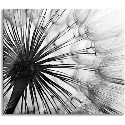 Pixxprint Schöne Pusteblume Herdabdeckplatte & Spritzschutz aus Echtglas Für Herd-Kochfelder 60x52 cm Pixxprint Schöne Pusteblume Herdabdeckplatte & Spritzschutz aus Echtglas Für Herd-Kochfelder 60x52 cm