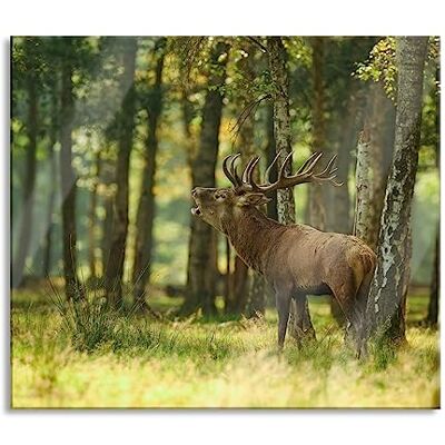 Pixxprint Hirsch im Wald Herdabdeckplatte & Spritzschutz aus Echtglas Für Herd-Kochfelder 60x52 cm Pixxprint Hirsch im Wald Herdabdeckplatte & Spritzschutz aus Echtglas Für Herd-Kochfelder 60x52 cm