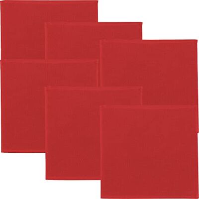 Erwin Müller Reinigungstuch, Putztuch, Putzlappen, Spültuch 6er-Pack rot Größe 25x25 cm 100% Baumwolle, zum Spülen oder Staubwischen, robust und langlebig, mit Frottierseite Erwin Müller Reinigungstuch, Putztuch, Putzlappen, Spültuch 6er-Pack rot Größe 25x25 cm 100% Baumwolle, zum Spülen oder Staubwischen, robust und langlebig, mit Frottierseite