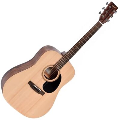 Ditson D-10 Dreadnought Akustik-Gitarre Ditson D-10 Dreadnought Akustik-Gitarre