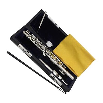 TWISAXC Inspirierendes Piccolo Holzblasinstrument in C Dur – Komplettes Set für Anfänger und angehende Musiker – Reinigungsstab – Piccolo in C Dur – 16 Loch –, Silber, 31.5 x 1.3 cm TWISAXC Inspirierendes Piccolo Holzblasinstrument in C Dur – Komplettes Set für Anfänger und angehende Musiker – Reinigungsstab – Piccolo in C Dur – 16 Loch –, Silber, 31.5 x 1.3 cm