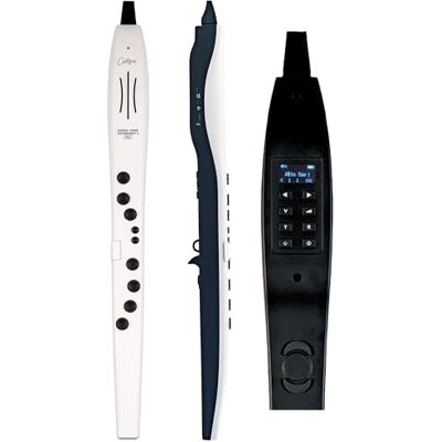 Carry On Digital Wind Instrument Pro - Digital Wind Instrument Carry On Digital Wind Instrument Pro - Digital Wind Instrument