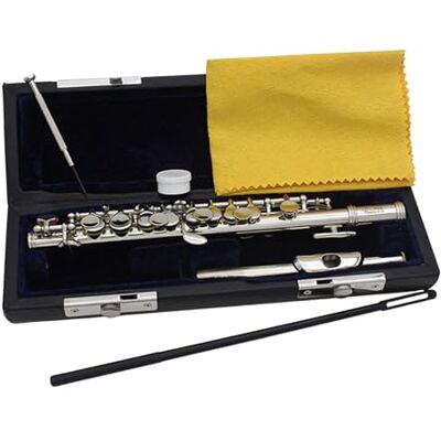 QUILSTM Kompakte Piccoloflöte in C Dur, 16 Löcher, Klang wie ein Holzblasinstrument, geeignet für alle Spielertypen, ansprechende Optik, traditionelles Instrument, Silber, 31.5 x 1.3 cm QUILSTM Kompakte Piccoloflöte in C Dur, 16 Löcher, Klang wie ein Holzblasinstrument, geeignet für alle Spielertypen, ansprechende Optik, traditionelles Instrument, Silber, 31.5 x 1.3 cm