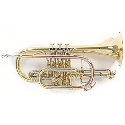 Roy Benson Bb-Kornett CR-302 (professionelles Kornett mit ML Bohrung, 119mm Messing Schallstück, Goldmessing Mundrohr, Neusilber Außenzüge und Edelstahl Ventilen), lackiert Roy Benson Bb-Kornett CR-302 (professionelles Kornett mit ML Bohrung, 119mm Messing Schallstück, Goldmessing Mundrohr, Neusilber Außenzüge und Edelstahl Ventilen), lackiert