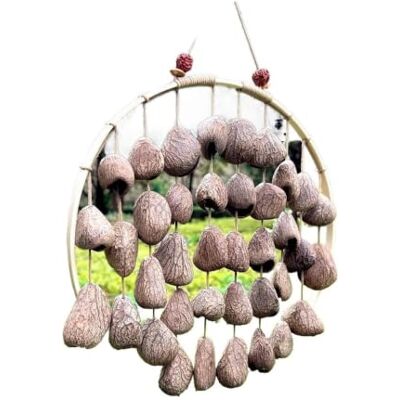 AYWTIUN Pflanzenschalen-Glocken-Anhänger, Klangtherapie, Meditation Handklingende Glocken, Pflanzenfrüchte, Windspiel-Anhänger(Color6) AYWTIUN Pflanzenschalen-Glocken-Anhänger, Klangtherapie, Meditation Handklingende Glocken, Pflanzenfrüchte, Windspiel-Anhänger(Color6)