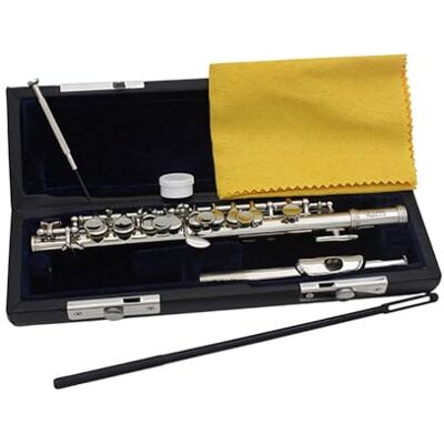 POXZSFX Vielseitiges Piccolo in C Dur, Holzblasinstrument, stilvolles Aussehen, ideal für Anfänger und tägliches Üben, Piccolo in C Dur, 16 Loch Traditionelles Instrument, Silber, 31.5 x 1.3 cm POXZSFX Vielseitiges Piccolo in C Dur, Holzblasinstrument, stilvolles Aussehen, ideal für Anfänger und tägliches Üben, Piccolo in C Dur, 16 Loch Traditionelles Instrument, Silber, 31.5 x 1.3 cm