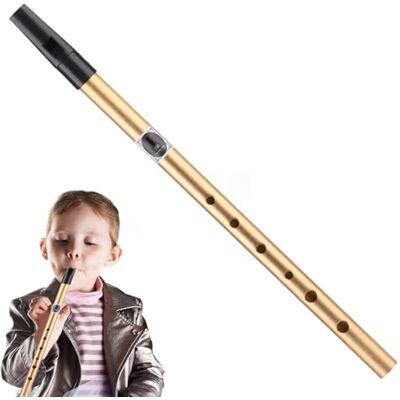 Nbhuiakl Irisches und internationales Instrument, traditionelle irische Zinnpfeife Pfeifenrohr aus mit Löchern, klare Klangqualität Professionelle Tin Penny Whistle geeignet für Anfänger Nbhuiakl Irisches und internationales Instrument, traditionelle irische Zinnpfeife Pfeifenrohr aus mit Löchern, klare Klangqualität Professionelle Tin Penny Whistle geeignet für Anfänger