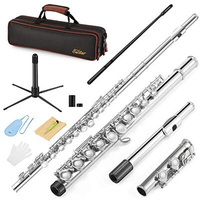 Eastar EFL-1 16 Keys Flute Nickel Plated Close Hole Eastar EFL-1 16 Keys Flute Nickel Plated Close Hole