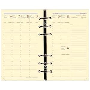 QUO VADIS Kalendereinlagen – 2024 – 2025 – Timer 17 Prestige – Wochenkalender – Französisch – 16 Monate von September bis Dezember – 10 x 17 cm – Papier Clairefontaine Elfenbeinfarben – hergestellt QUO VADIS Kalendereinlagen – 2024 – 2025 – Timer 17 Prestige – Wochenkalender – Französisch – 16 Monate von September bis Dezember – 10 x 17 cm – Papier Clairefontaine Elfenbeinfarben – hergestellt