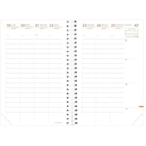 QUO VADIS Kalendereinlagen – Spiralbindung – 2025 – Time & Life Large – Wochenkalender – Französisch – 13 Monate von Dezember bis Dezember – 16 x 24 cm – Papier Clairefontaine weiß – hergestellt in QUO VADIS Kalendereinlagen – Spiralbindung – 2025 – Time & Life Large – Wochenkalender – Französisch – 13 Monate von Dezember bis Dezember – 16 x 24 cm – Papier Clairefontaine weiß – hergestellt in