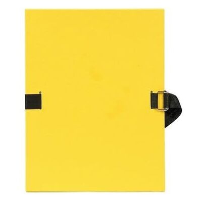 Exacompta 729E 10er Pack Dokumentenmappe 32 x 24 cm für DIN A4 dehnbarer Faltenrücken aus kaschiertem Karton, gefärbter stoffeinband gelb Exacompta 729E 10er Pack Dokumentenmappe 32 x 24 cm für DIN A4 dehnbarer Faltenrücken aus kaschiertem Karton, gefärbter stoffeinband gelb
