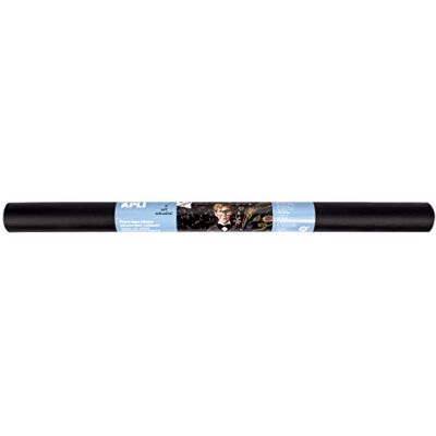 APLI Schieferfolie schwarz 0,5m x 2m APLI Schieferfolie schwarz 0,5m x 2m