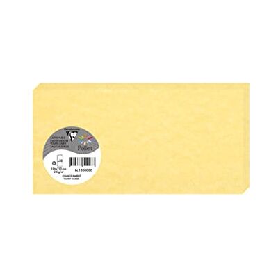 Clairefontaine 120000C Packung mit 25 Doppelkarten Pollen, gefaltet, Format DL, 10,6x21,3cm, 210g, ideal für Einladungen und Korrespondenz, Chamois, 1 Pack Clairefontaine 120000C Packung mit 25 Doppelkarten Pollen, gefaltet, Format DL, 10,6x21,3cm, 210g, ideal für Einladungen und Korrespondenz, Chamois, 1 Pack