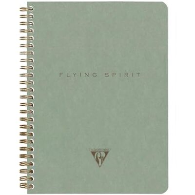 Clairefontaine 107566C Spiralbuch / Notizheft Flying Spirit, DIN A5 14,8x21 cm, 60 Blatt 90g, liniert, Graugrün sortiert, 1 Stück Clairefontaine 107566C Spiralbuch / Notizheft Flying Spirit, DIN A5 14,8x21 cm, 60 Blatt 90g, liniert, Graugrün sortiert, 1 Stück