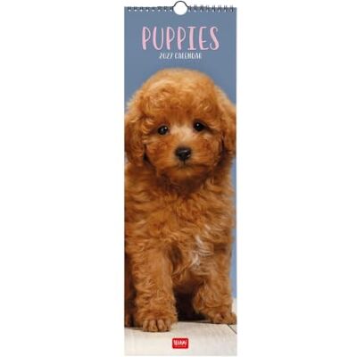 LEGAMI – Kalender 2027 Wandkalender, Puppies, 12 Monate, 16 x 49 cm LEGAMI – Kalender 2027 Wandkalender, Puppies, 12 Monate, 16 x 49 cm