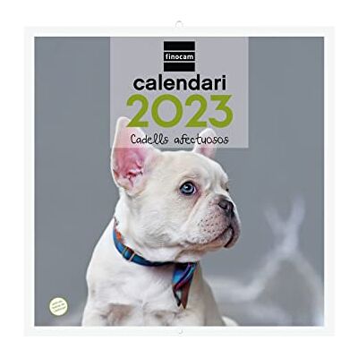 Finocam Kalender 2023 Wandbilder 30x30 zum Schreiben Januar 2023 Dezember 2023 (12 Monate) Katalanische Welpen Finocam Kalender 2023 Wandbilder 30x30 zum Schreiben Januar 2023 Dezember 2023 (12 Monate) Katalanische Welpen