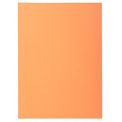 Exacompta 850002E Aktendeckel Packung (22 x 31cm, ideal zum Schutz Ihre Dokumente in Format DIN A4, 21 x 29,7 cm) 250er Pack lachs Exacompta 850002E Aktendeckel Packung (22 x 31cm, ideal zum Schutz Ihre Dokumente in Format DIN A4, 21 x 29,7 cm) 250er Pack lachs