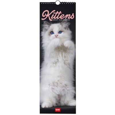 LEGAMI – Kalender 2027 Wandkalender, Kittens, 12 Monate, 16 x 49 cm LEGAMI – Kalender 2027 Wandkalender, Kittens, 12 Monate, 16 x 49 cm