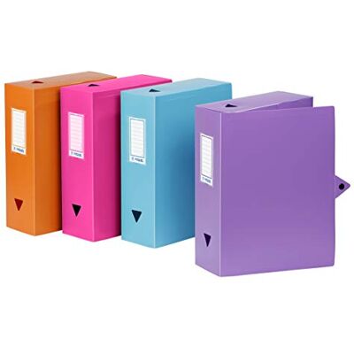 Viquel 097716 – 49 Class Docs Vorratsdosen 4-DE Ranking Polypropylen-Rücken 100 mm Farben sortiert Viquel 097716 – 49 Class Docs Vorratsdosen 4-DE Ranking Polypropylen-Rücken 100 mm Farben sortiert