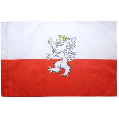 AZ FLAG Flagge Böhmen 90x60 cm Fahne Tschechische Polyester 100D Hohlsaum Für innen und außen dekorative Flagge doppelte Nähte und verstärkte Kanten mit Masttunnel 100D Polyester AZ FLAG Flagge Böhmen 90x60 cm Fahne Tschechische Polyester 100D Hohlsaum Für innen und außen dekorative Flagge doppelte Nähte und verstärkte Kanten mit Masttunnel 100D Polyester