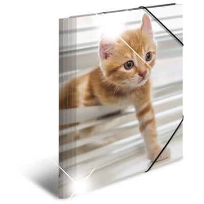 HERMA Sammelmappen A4 Katzen Set, 3 Stück, Kinder Eckspanner-Mappen aus Kunststoff mit Tier Motiv, Hochglanz-Optik, Gummizug, Innenklappen und Innendruck für Jungen und Mädchen HERMA Sammelmappen A4 Katzen Set, 3 Stück, Kinder Eckspanner-Mappen aus Kunststoff mit Tier Motiv, Hochglanz-Optik, Gummizug, Innenklappen und Innendruck für Jungen und Mädchen