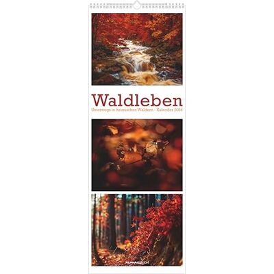 Alpha Waldleben Triplets 2026 – Streifenkalender XXL 25×69 cm im Hochformat mit 12 Naturmotiven, Bildkalender mit Triplets-Design für Naturliebhaber & stimmungsvolle Wanddekoration Alpha Waldleben Triplets 2026 – Streifenkalender XXL 25×69 cm im Hochformat mit 12 Naturmotiven, Bildkalender mit Triplets-Design für Naturliebhaber & stimmungsvolle Wanddekoration