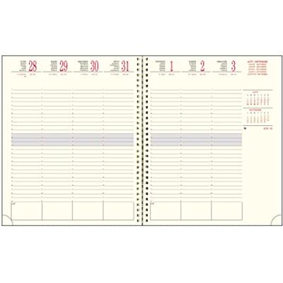 Exacompta 220847E – Wochenkalender SAD 22S – 18,5 x 22,5 cm – September 2024 bis Dezember 2025 – 16 Monate Exacompta 220847E – Wochenkalender SAD 22S – 18,5 x 22,5 cm – September 2024 bis Dezember 2025 – 16 Monate