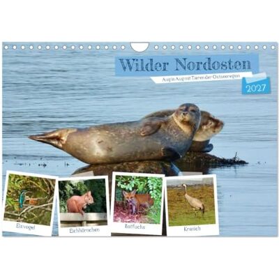 CALVENDO Nord-Est sauvage Face à face avec les animaux de la région de la mer Baltique (Calendrier mural 2027 DIN A4 vertical), calendrier mensuel CALVENDO Nord-Est sauvage Face à face avec les animaux de la région de la mer Baltique (Calendrier mural 2027 DIN A4 vertical), calendrier mensuel
