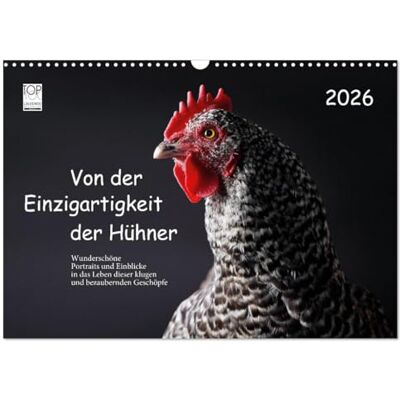 CALVENDO Le caractère unique des poules (Calendrier mural 2027 DIN A3 vertical), calendrier mensuel CALVENDO Le caractère unique des poules (Calendrier mural 2027 DIN A3 vertical), calendrier mensuel