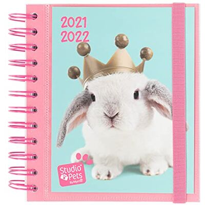 Grupo Erik Schulplaner 2021 2022 Studio Pets Hase Ringbuch Kalender Terminkalender Tagesplaner Terminplaner ADPM2114 Türkis Grupo Erik Schulplaner 2021 2022 Studio Pets Hase Ringbuch Kalender Terminkalender Tagesplaner Terminplaner ADPM2114 Türkis