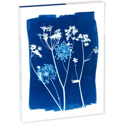 Clairefontaine 83507C Korrespondenzset Cyanotype mit 8 Einzelkarten 11x15,5 cm sortiert und 8 Umschlägen Pollen C6 Naturweiß, 1 Set Clairefontaine 83507C Korrespondenzset Cyanotype mit 8 Einzelkarten 11x15,5 cm sortiert und 8 Umschlägen Pollen C6 Naturweiß, 1 Set