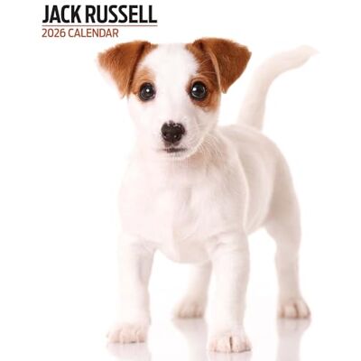 Magnet & Steel Jack Russell Kalender 2026 Modern Magnet & Steel Jack Russell Kalender 2026 Modern